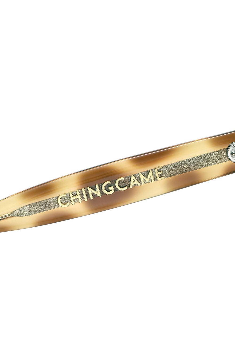 AE0009 Vin-Chingcame -Leopard- – ATTRACTIONS